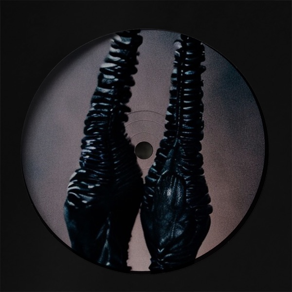Shadows - Single