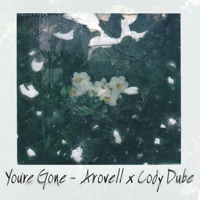 You're Gone - Single