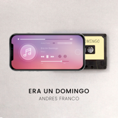 Era un Domingo (En Vivo) song art