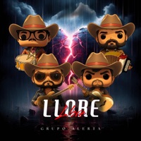 Llore - Single - Grupo Alerta
