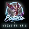 Breaking Aria