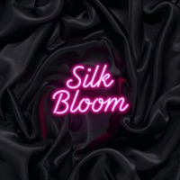 Directions (feat. Silk Bloom) - Single - One Minute Studios