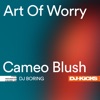 Art of Worry - Single