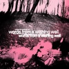 words from a wishing well (Deluxe Edition)