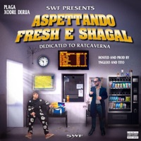 Aspettando Fresh e Shagal - SWF