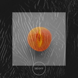 Drip BRANY