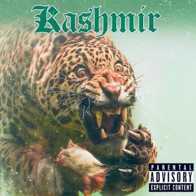 KASHMIR 3