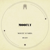 Jibaro - Single - Mayze X Faria