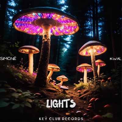 Lights - Single