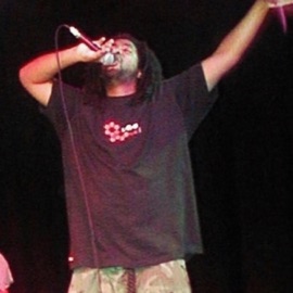 Roll Em (feat. Kas One) Mr Brady