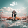 The Healing Process - EP - UMngomezulu