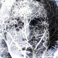 please don't fade away. - Dtoxify