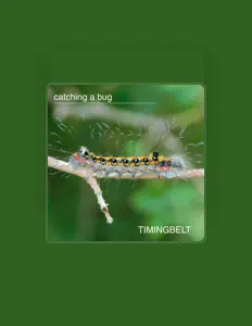 聆聽 Timing Belt、觀看音樂影片、閱讀小傳、查看巡演日期等！