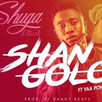 Shangolo (feat. Yaa Pono) - Single - Shuga Litical