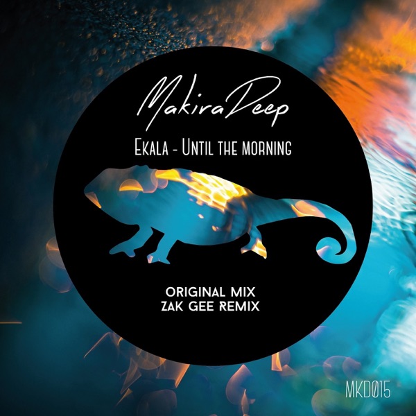 Until the Morning - Single