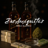 Dos Amiguitas - Single - Seba Suarez