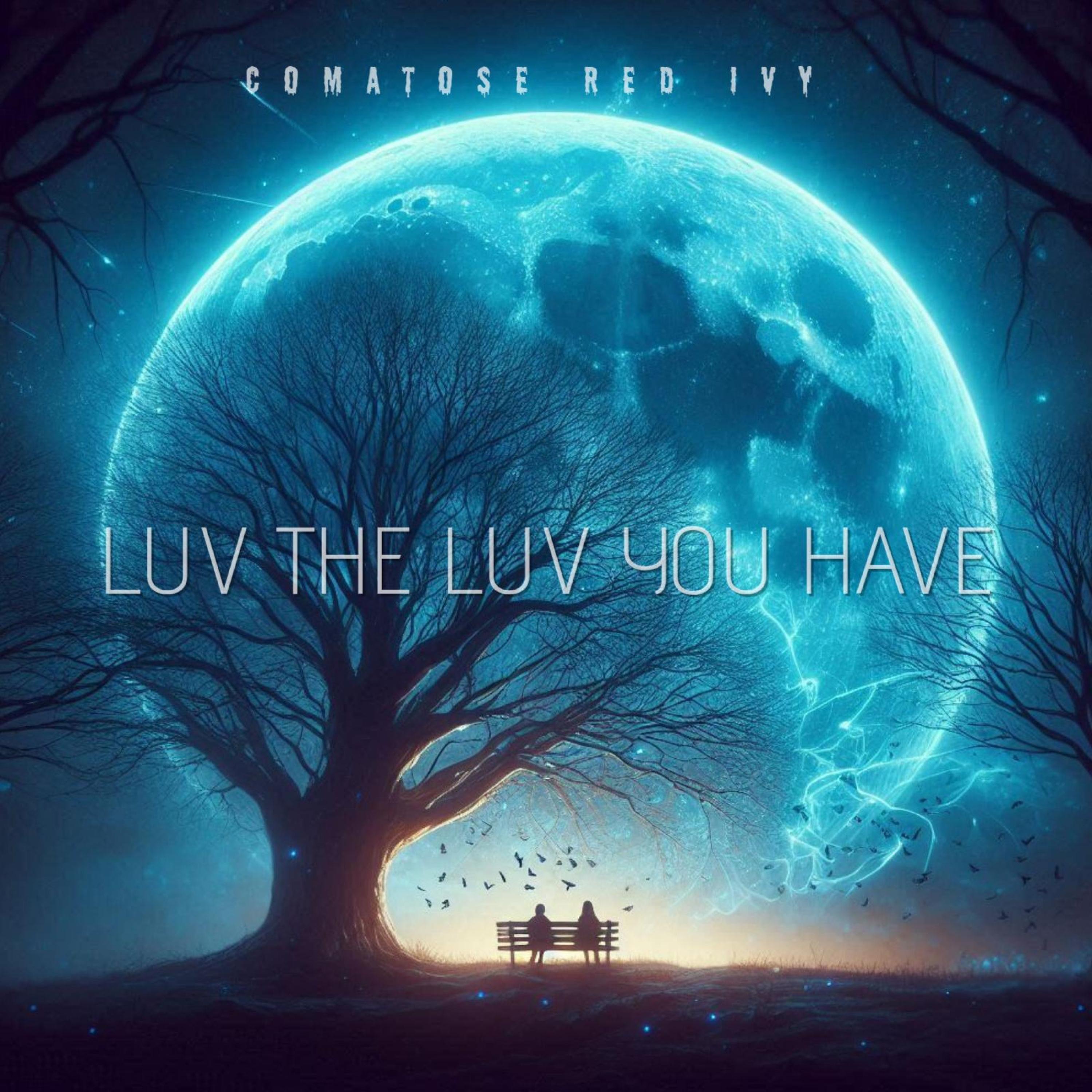 Luv The Luv You Have - Single