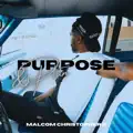 Purpose & Plan