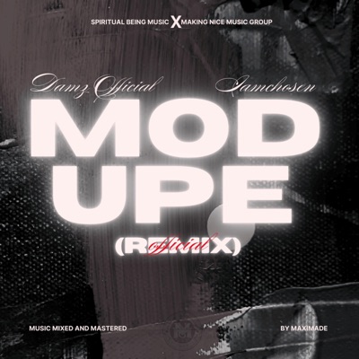 MODUPE (feat. Iamchosen) [Remix] - Single