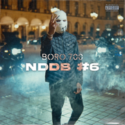 NDDB #6 - BORO700