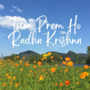 Radha Krishnaa - Nightcord at 25:00