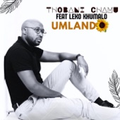 Umlando (feat. Leko Khumalo) artwork