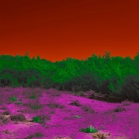 Tempe Nights - Single - Donnie Six