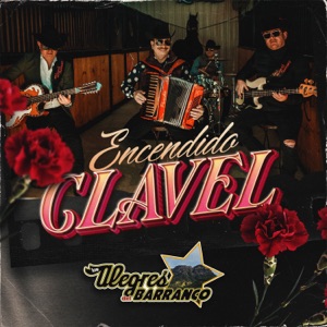 Encendido Clavel