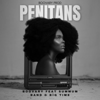 Penitans (feat. Summum band & Big time) - Single - Boovary