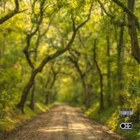 DIRT ROAD - Single - Lil Doug