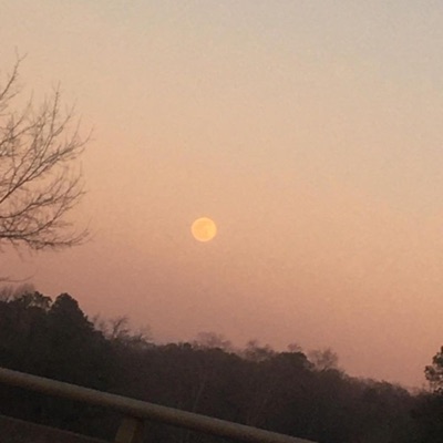 Sometimes We Have To Walk Alone