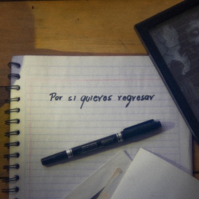 Por si quieres regresar - Single