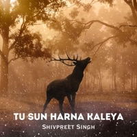 Tu Sun Harna Kaleya - Single - Shivpreet Singh
