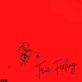 TRUE FEELING ii. Terry Babone. & Bobby E.M.A