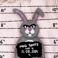 Mug Shots, Pt. 4 - Single - raminbeatz