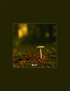 Poslechněte si interpreta Iasamani, sledujte hudební videa, přečtěte si životopis, podívejte se na data turné a další informace.