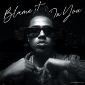 Blame It On You artwork