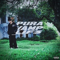Pura Vamp Lif3 - Over Hill$