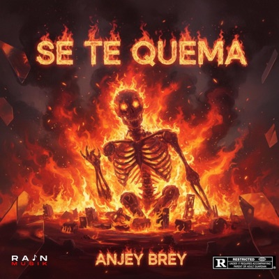 Se Te Quema (feat. Anjey Brey) - Single