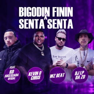 Bigodin Finin X Senta Senta (feat. Rd Sucessada Oficial)
