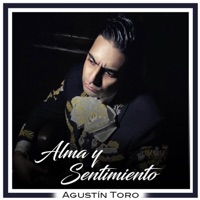 Alma y Sentimiento - Single - Agustín Toro