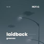 Laidback Grooves 030