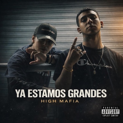 Ya estamos grandes (feat. ANT) - Single