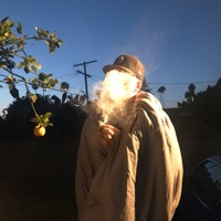 Enya (feat. Cholodemora) - Single - dummy s leaker