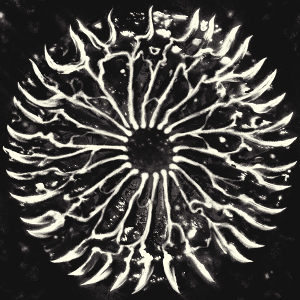 Aptid (feat. COIDO & Muadeep)