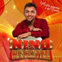Muitos querem é de borla — Nino da Concertina