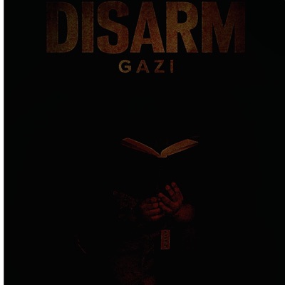 DISARM GAZI (feat. KKKMOTION) - Single