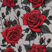 Het Komt Allemaal Door Haar - Single - REI