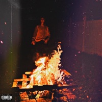 Shade - Single - Flaco Paco