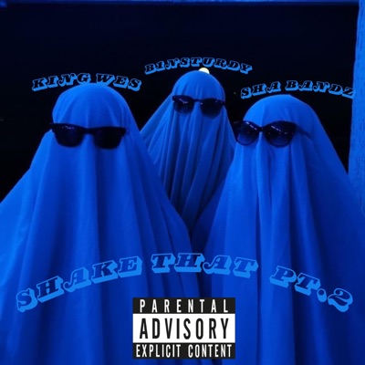 SHAKE THAT Pt. 2 (feat. B1nsturdy, King Wes & Sha Bandz) - Single